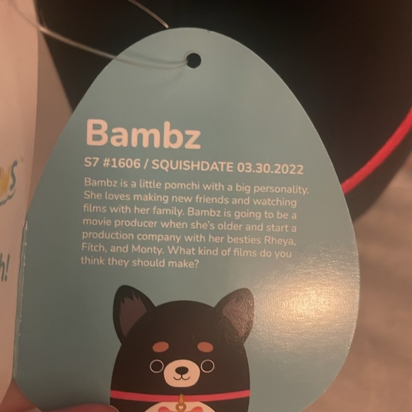 Bambz The Pomchi Squishmallow Dog Squad - Picture 8 of 8